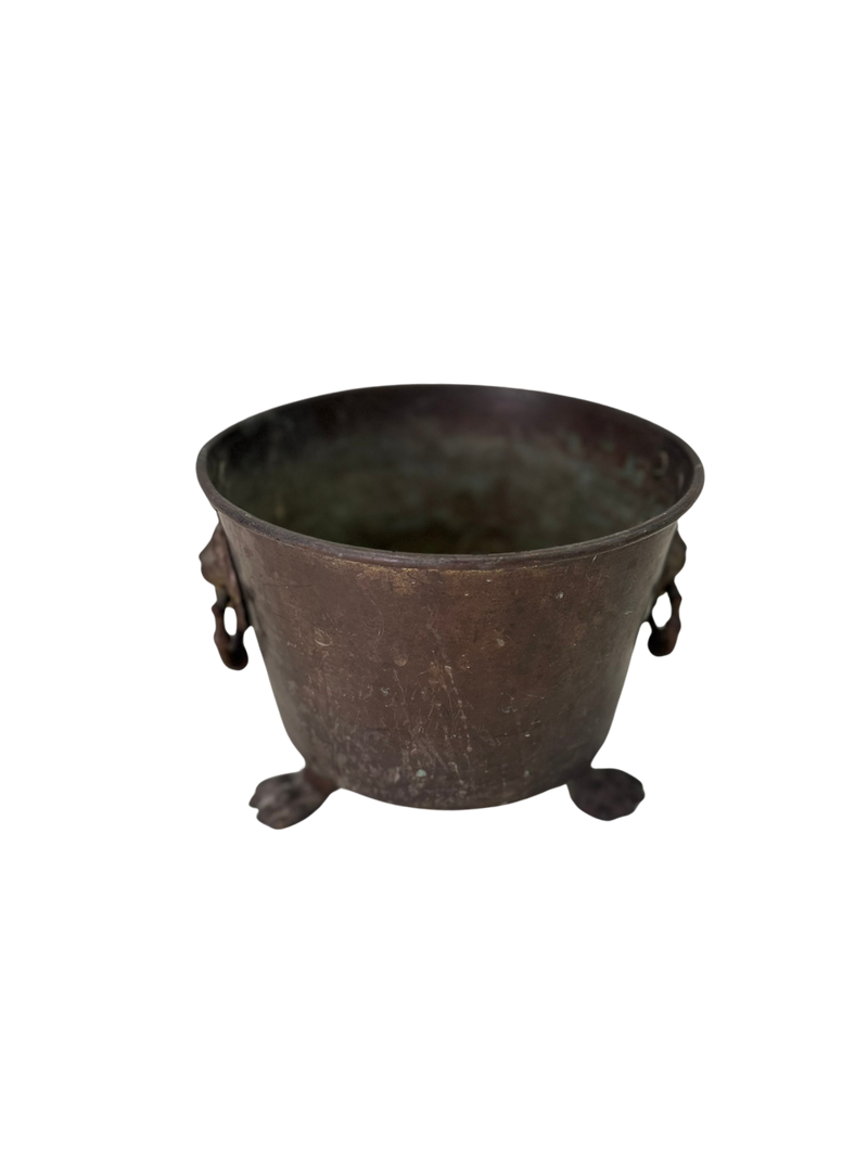 Brass Lion Cachepot