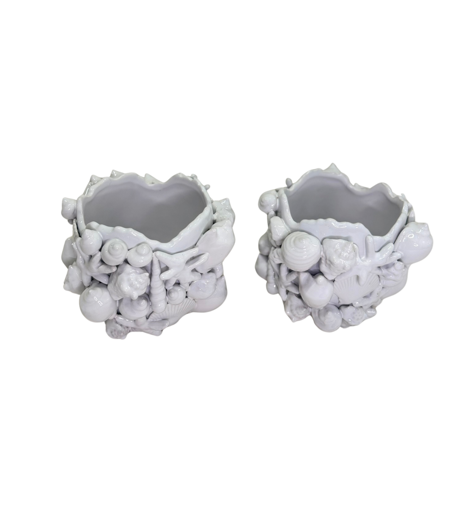 Pair of Shell Cachepots