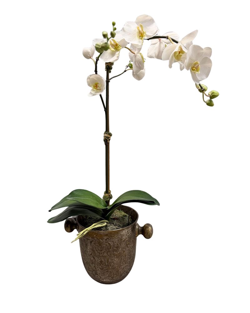 Vintage Silver Plate Decorative Ice Bucket