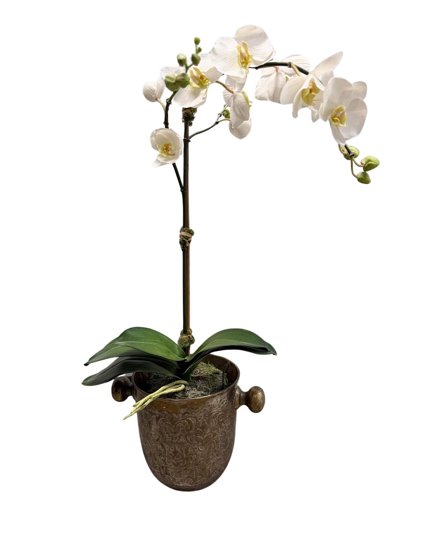 Vintage Silver Plate Decorative Ice Bucket