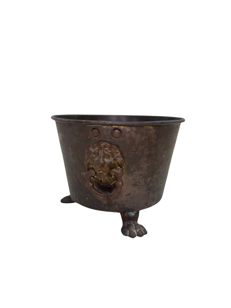 Brass Lion Cachepot